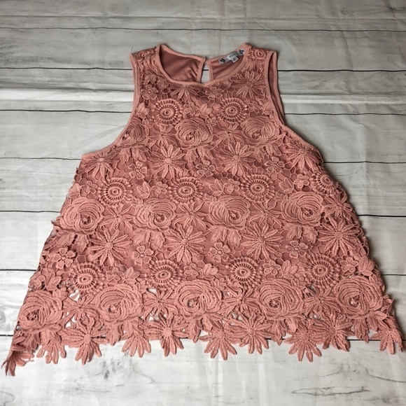 iris Tops - NWT IRIS Los Angeles Lace Blush Overlay Top Sz XL